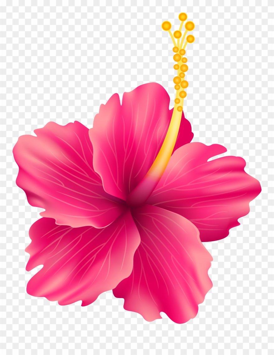 Flower Scalable Vector Graphics Clip Art Exotic - Png Download