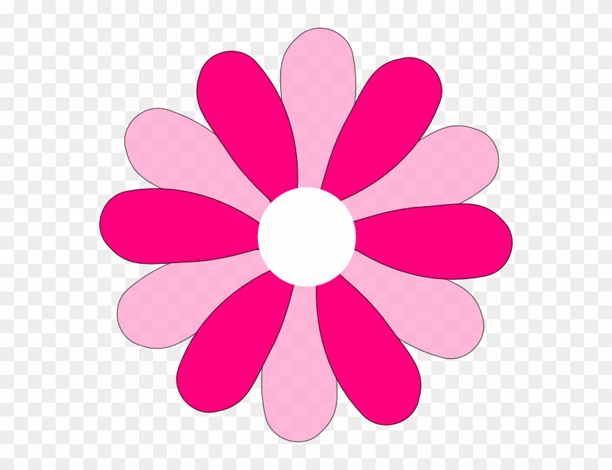 Gerber Daisy Flower Clipart - Png Download
