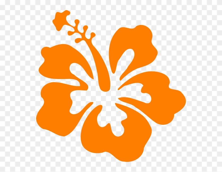 Showing Post & Media For Orange Hibiscus Cartoon - Orange Hibiscus Clip Art - Png Download