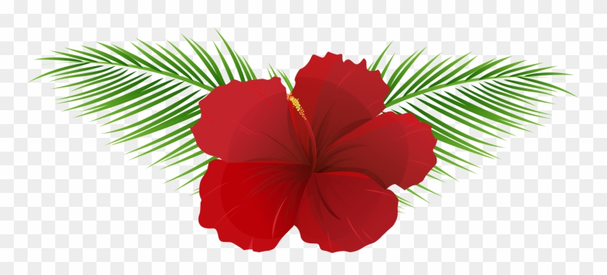 Exotic Flower Transparent Clip Art Imageu200b Gallery - Art - Png Download