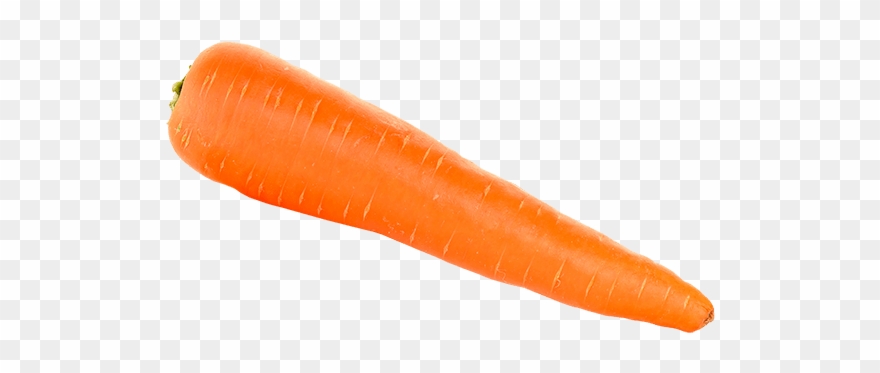 Related Wallpapers - 1 Cenoura Clipart