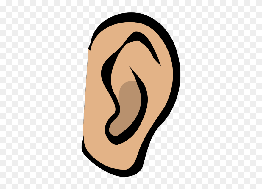A Week Later, One Of The Nurses Complimented Me On - Ear Clip Art - Png Download