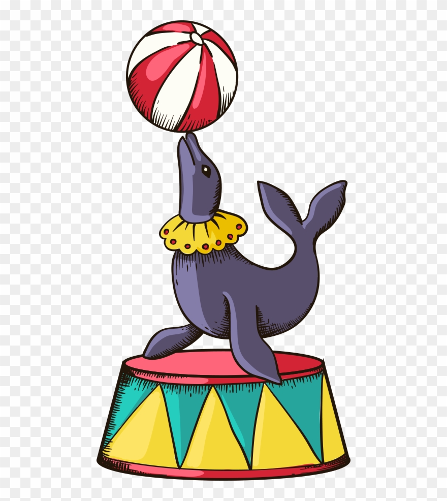 Dolphins Clipart Circus - Circus Sea Lion Png Transparent Png