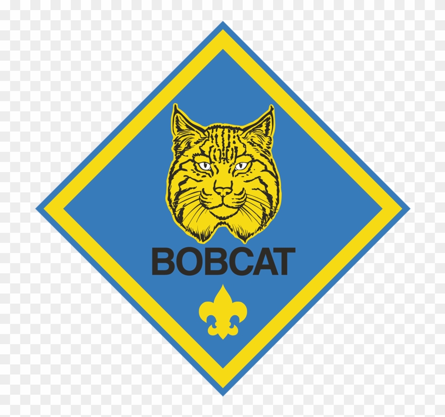 Bobcat Clipart