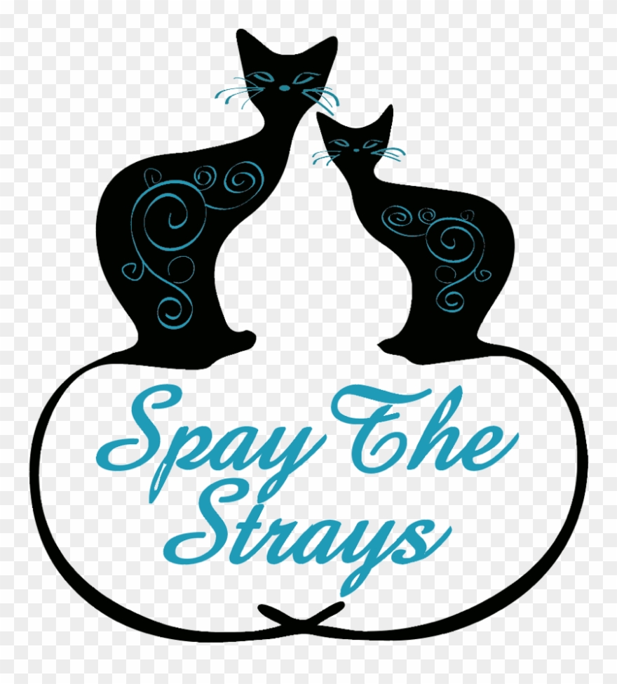 Feral Cat Faq Clipart