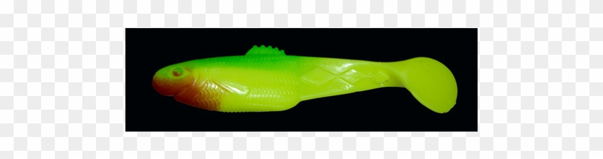 Diamond Shad 2,5" S021 Clipart