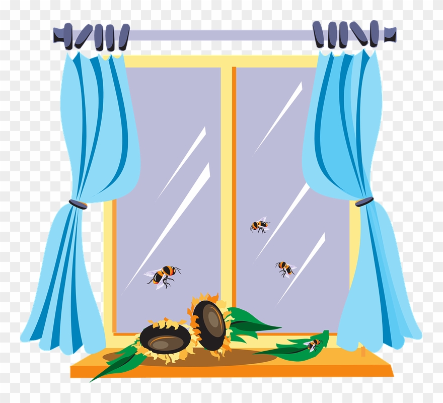 Cartoon Window Clipart