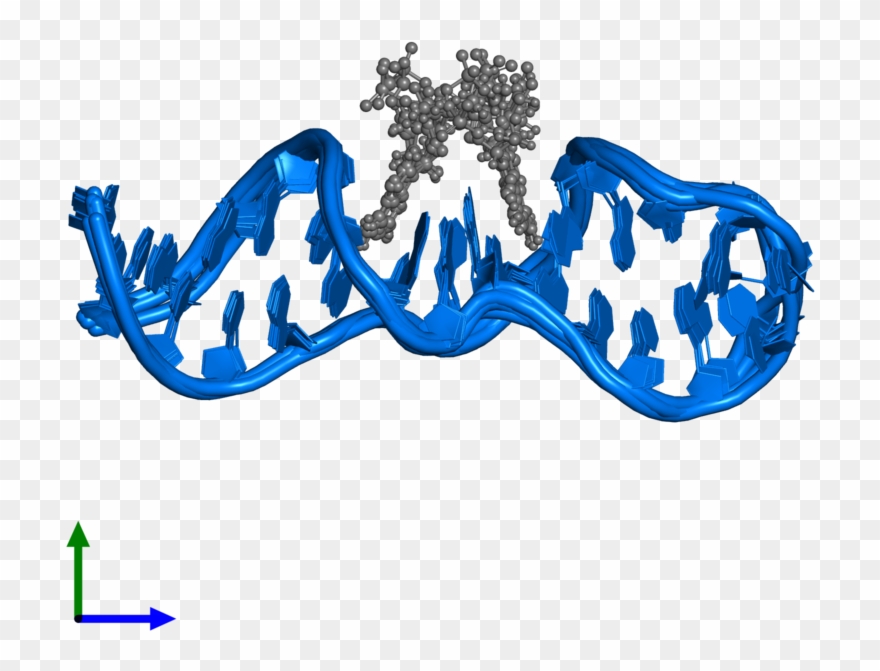 Atp Clip Art - Png Download