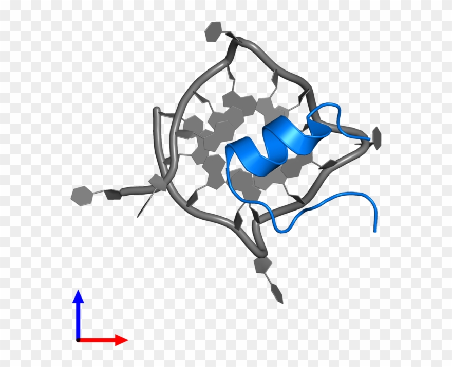 <div Class='caption-body'>pdb Entry 2n21 Contains 1 Clipart