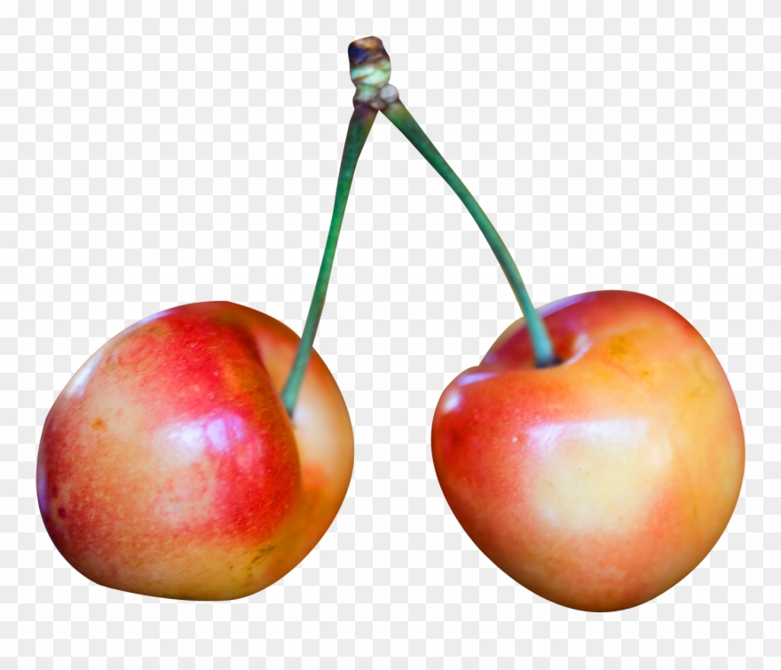 Rainier Cherry,fruits Clipart