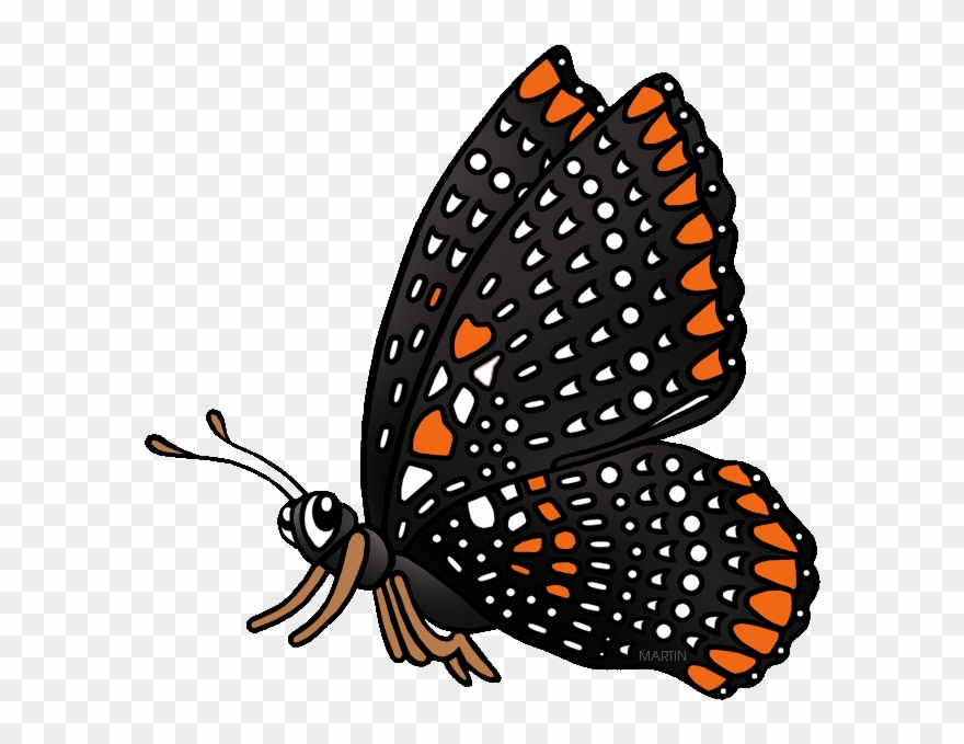 State Insect Of Maryland Clipart