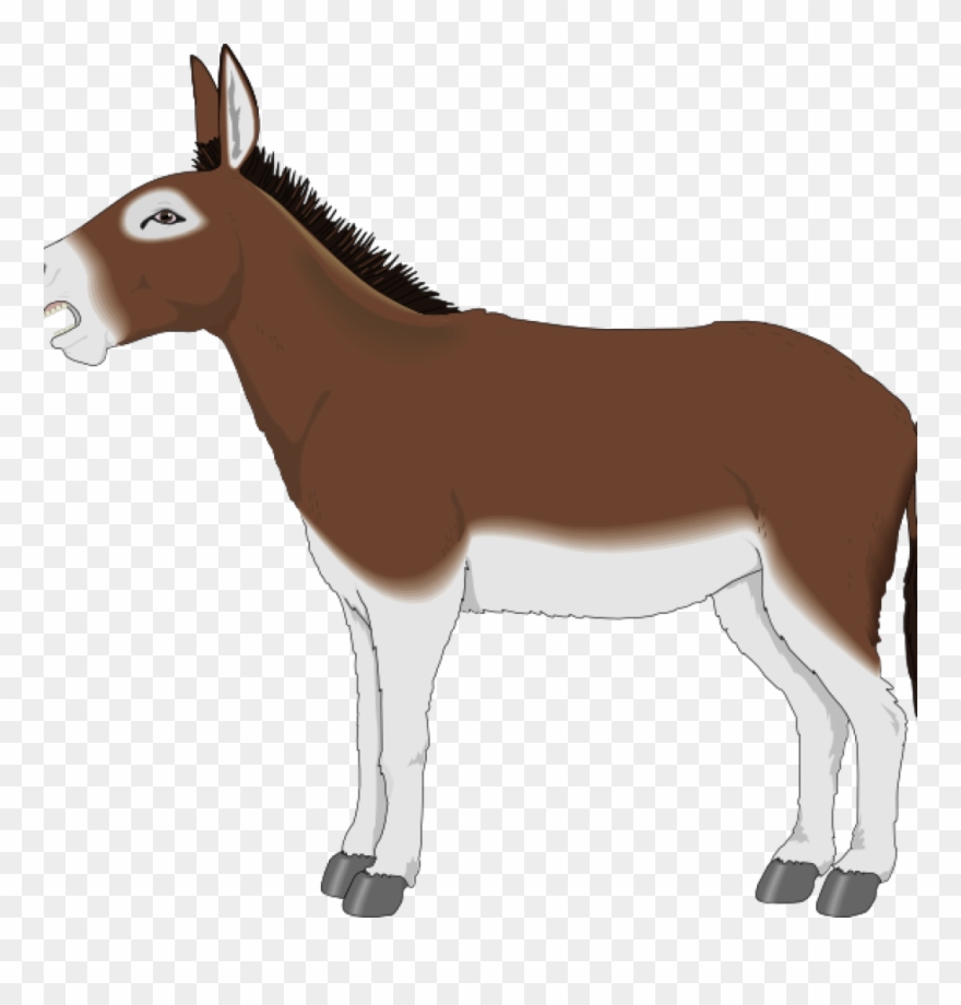Donkey Clip Art Rose Clipart Hatenylo - Png Download