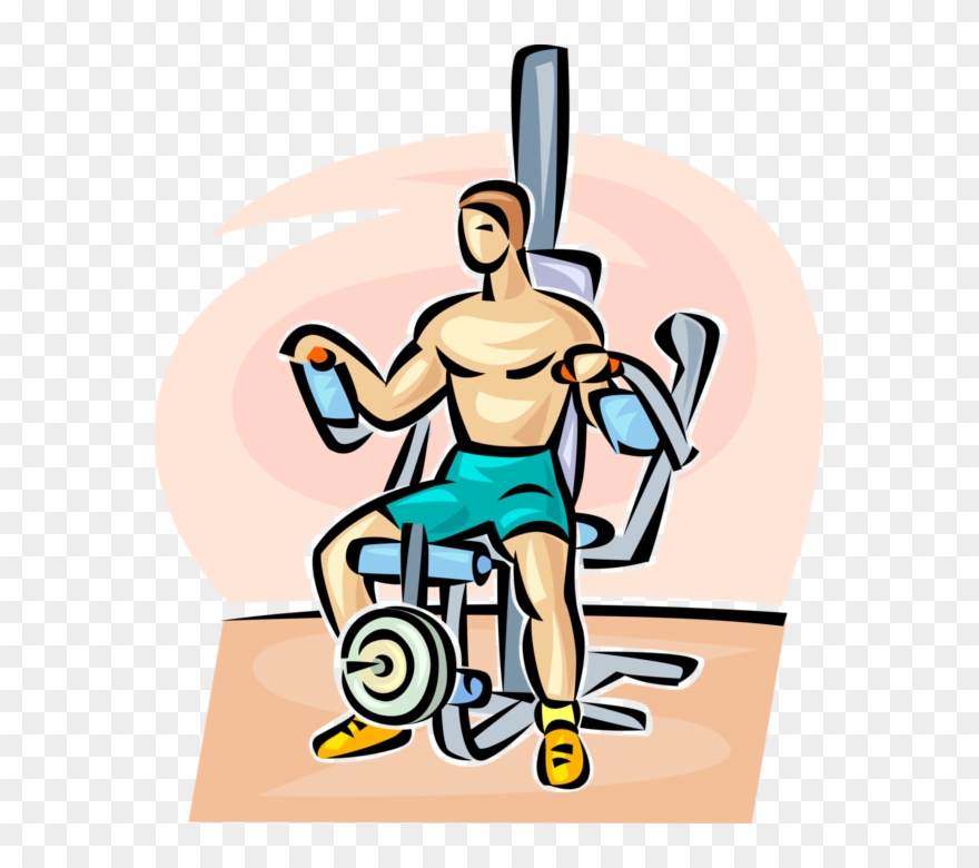 Clip Art Transparent Library Strength Training Equipment - Png Download