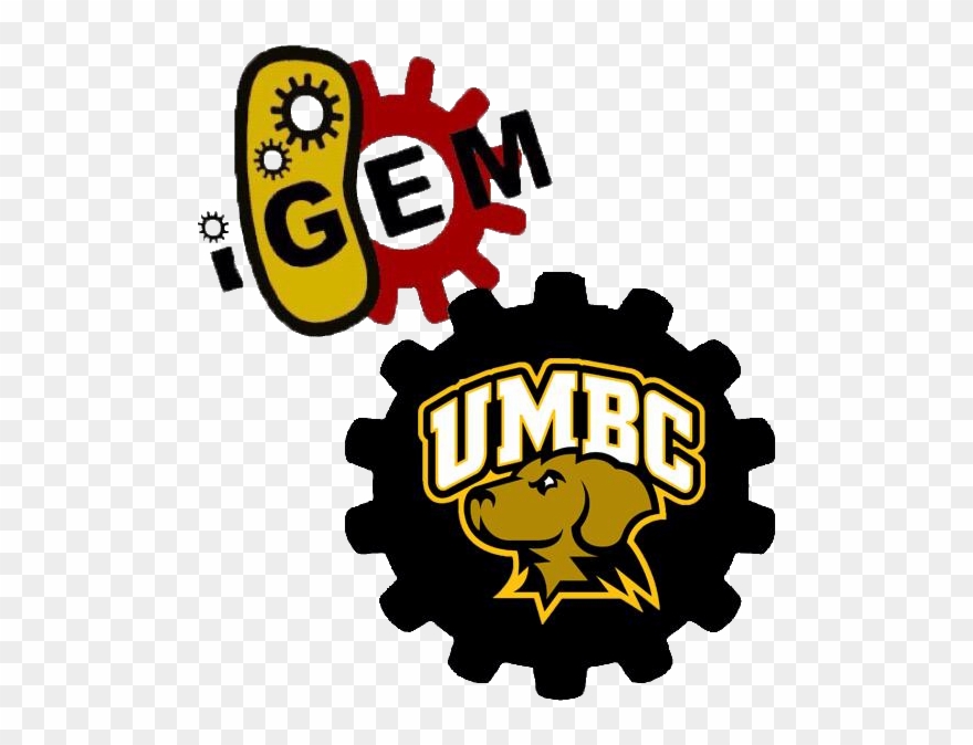 Team - Umbc-maryland/notebook Clipart