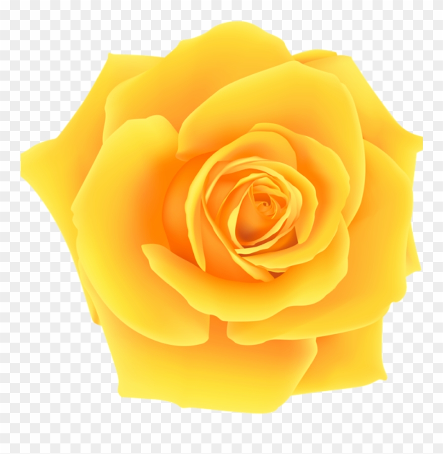 Yellow Roses Clip Art Yellow Roses Clip Art Yellow - Png Download