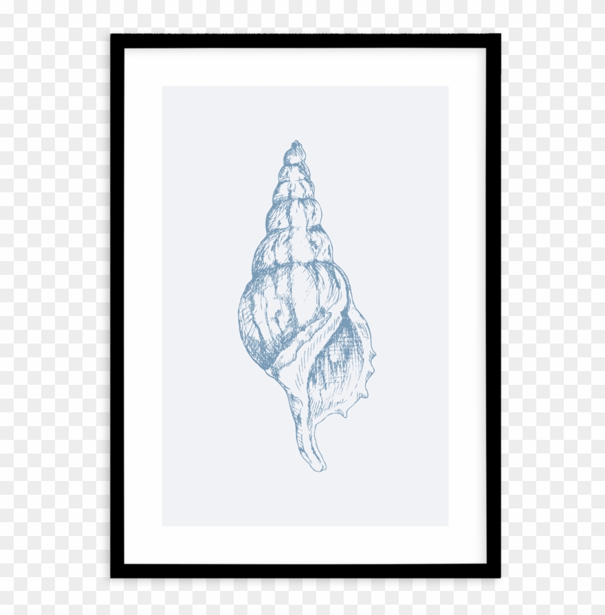 Atlantic Triton Clipart