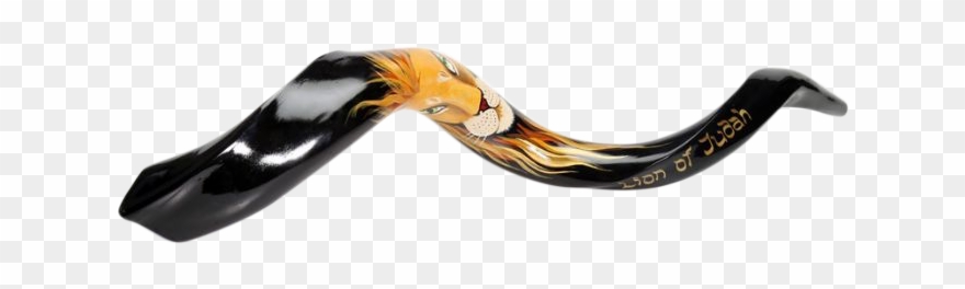 Lion Of Jude Shofar Clipart