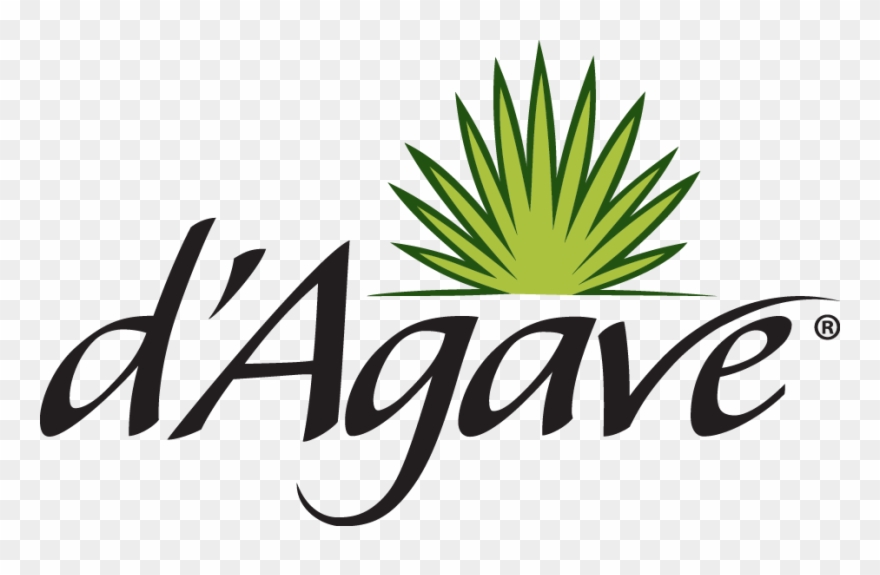 Agave Grows In The Arid Regions Of Mexico And Requires Clipart