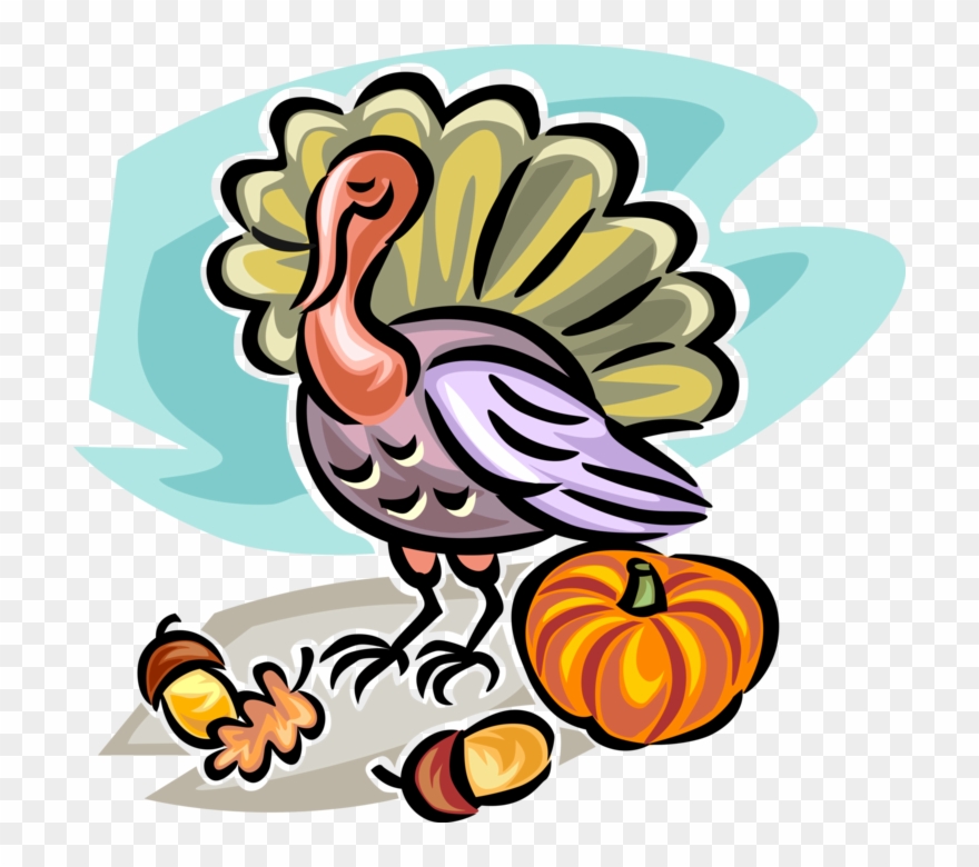 Vector Illustration Of Fall Or Autumn Harvest Pumpkin, Clipart