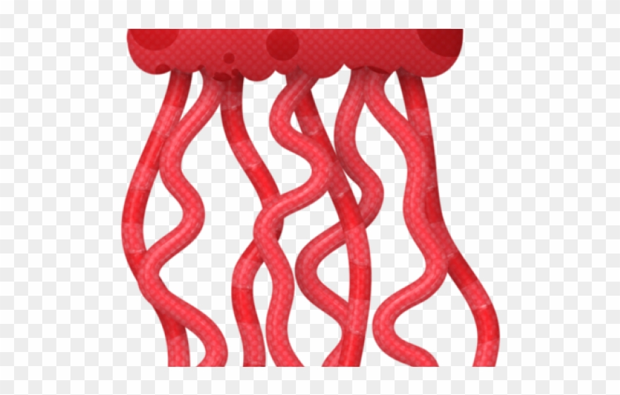 The Sea Clipart Aquatic Animal - Png Download