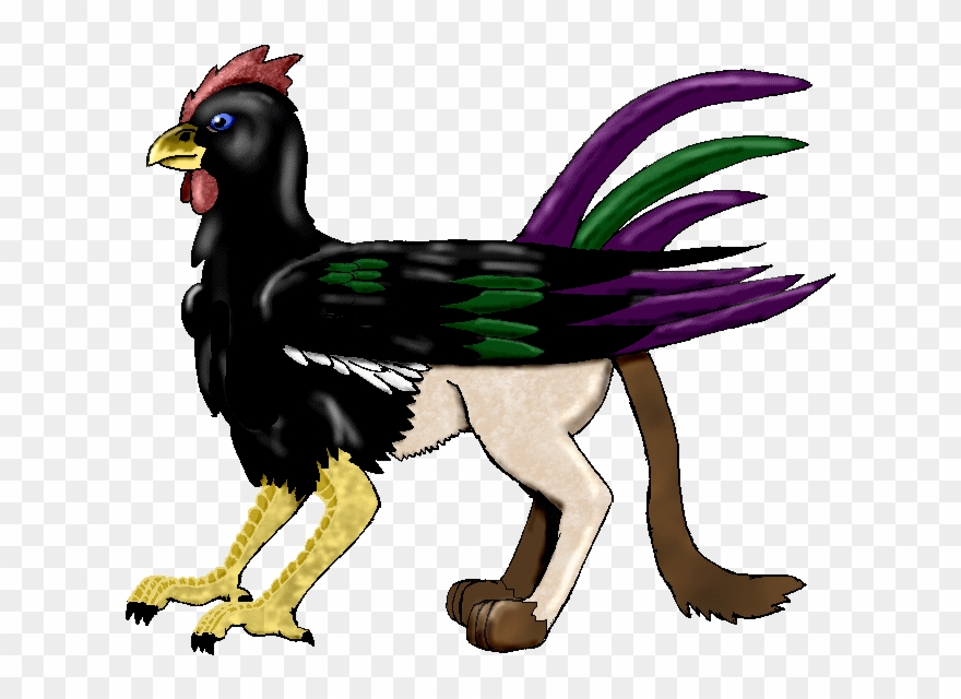 Chicken Gryphon Bwok, Grandfather Clipart