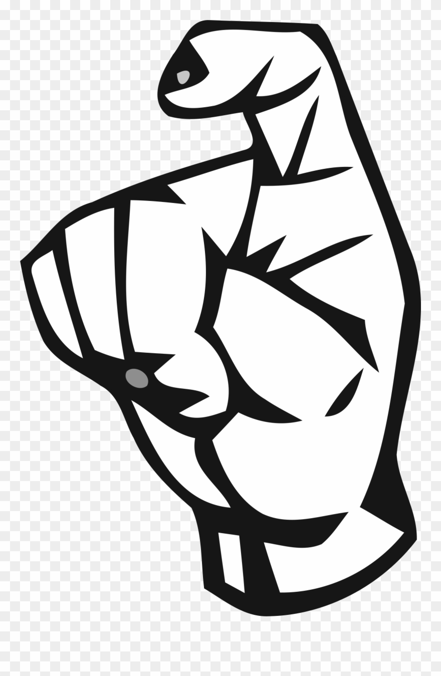 Medium Image Clipart