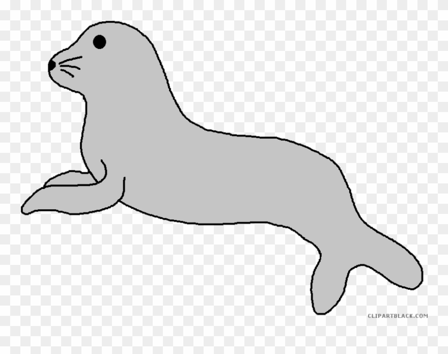 Seal Clipart - Png Download