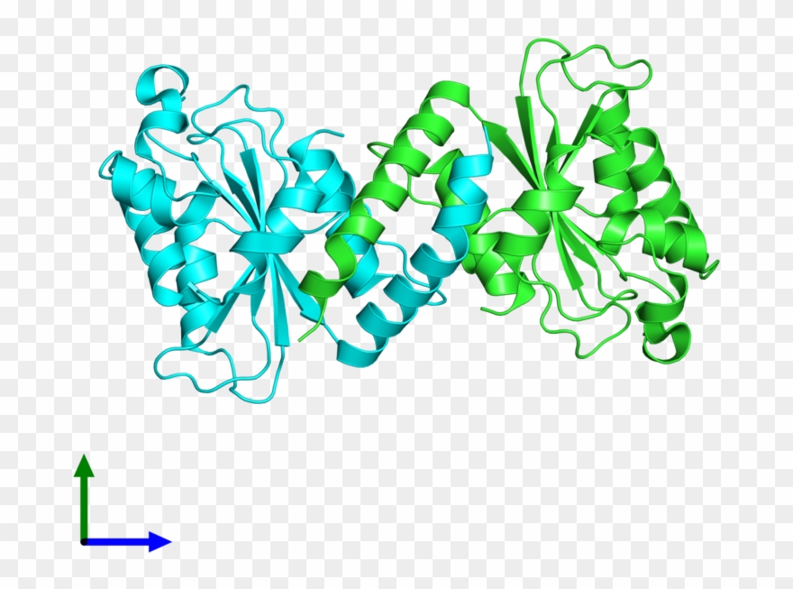 Pdb 3efy Coloured By Chain And Viewed From The Front Clipart