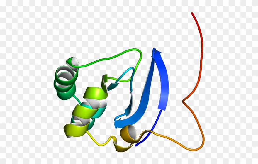 No Rotation Molmil Generated Image Of 1l3g Clipart