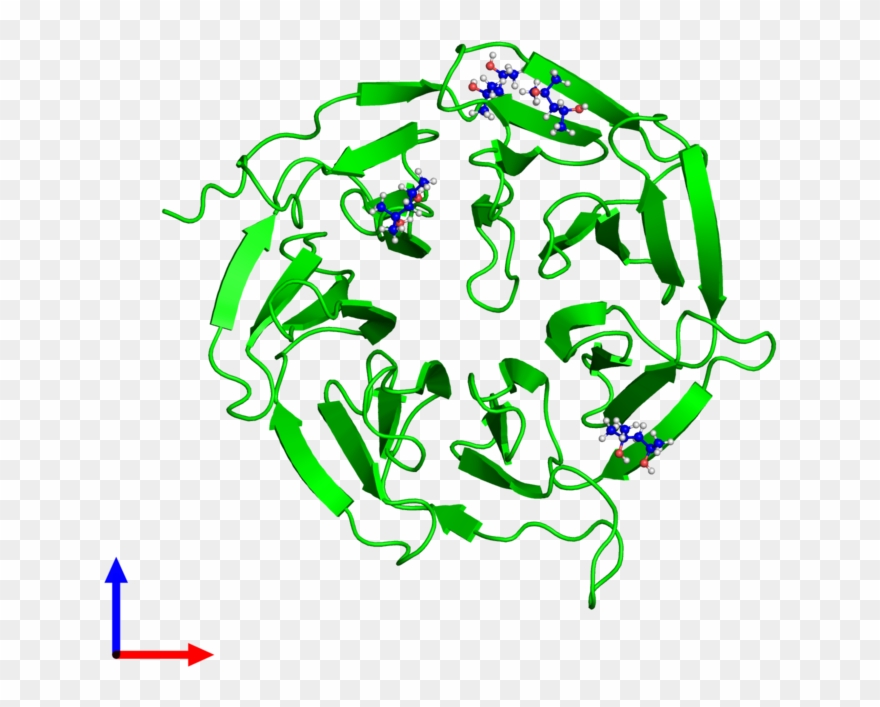 <div Class='caption-body'><ul Class ='image Legend Clipart