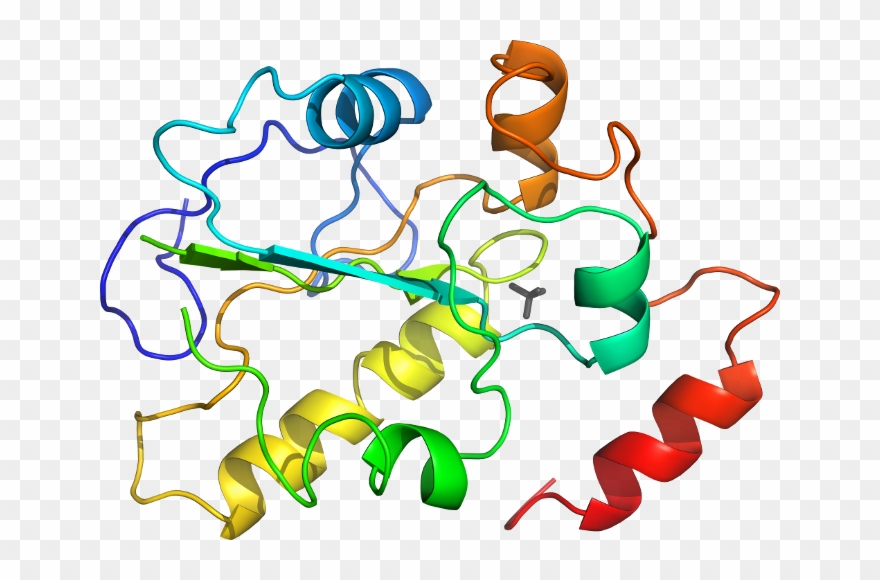 D2a2ka In Context Of Chain Clipart