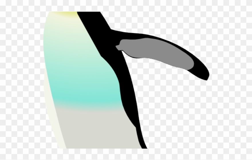 King Penguin Clipart Little Penguin - Png Download