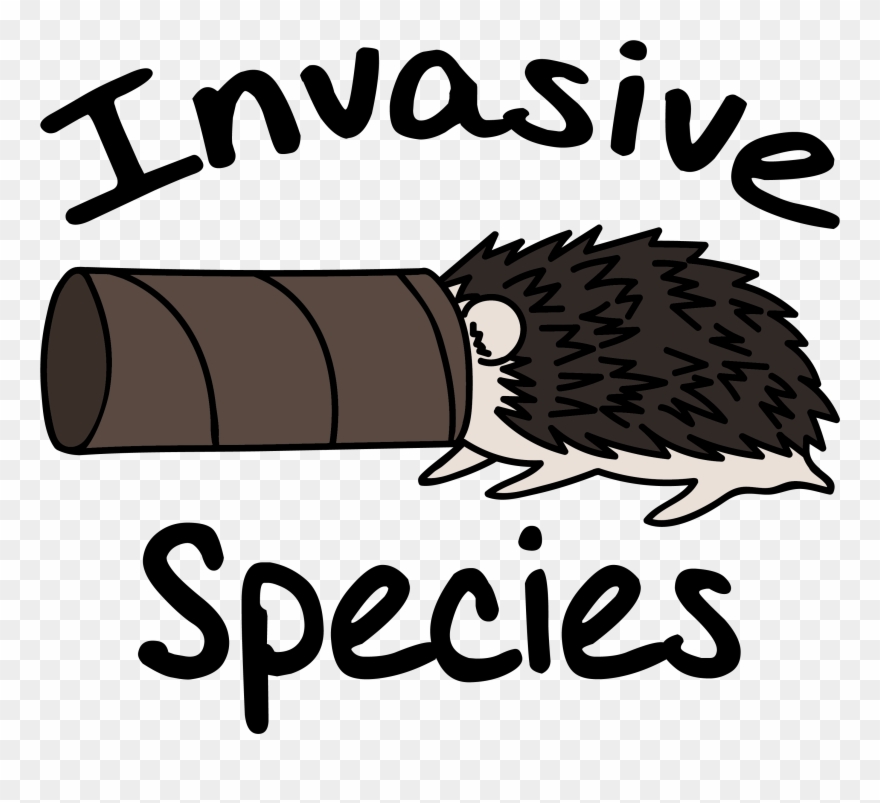 Invasive Species Clipart - Png Download