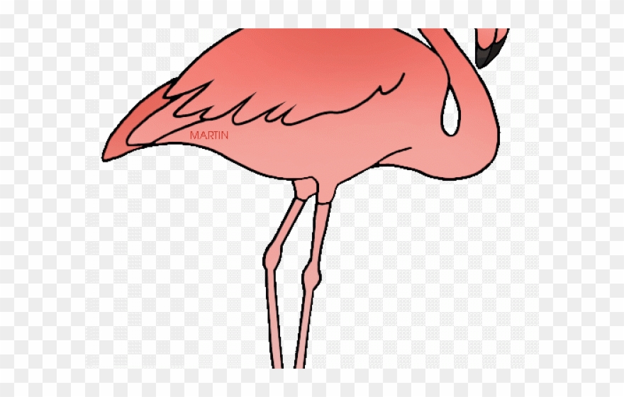 Flamingo Clipart Copyright Free - Png Download