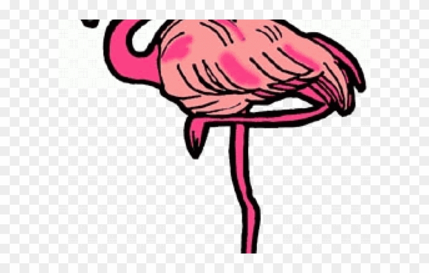 Flamingo Clipart Animation - Png Download