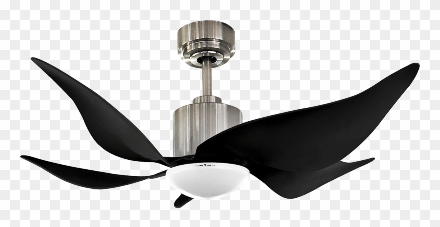 Leaf 36″ Silver Black Ceiling Fan /svbl Clipart
