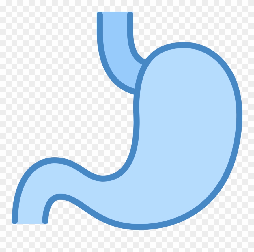 Stomach Icon Free Download At Icons8 Insert Vector Clipart