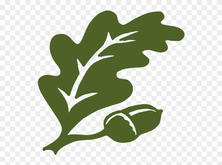Nra Oak Logo Clipart