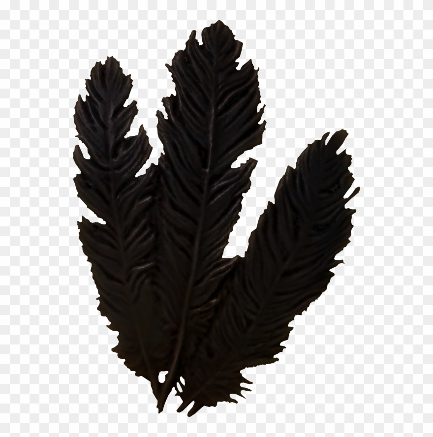 Hagraven Feathers Clipart