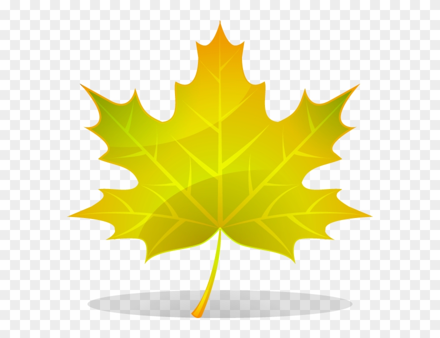 Autumn Leaft Clipart