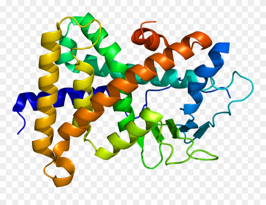 This May Give Us Increased Predictive Power To Understand Clipart