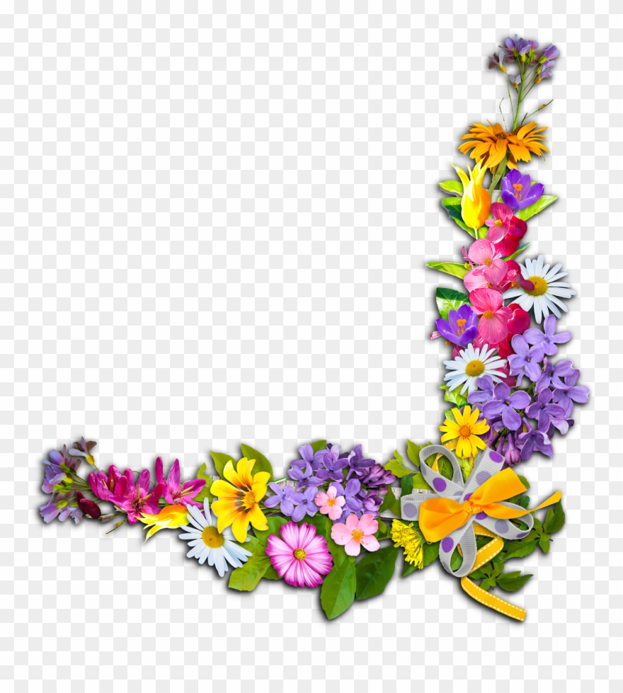 Pin By Светлана On Картинки На Белом Фоне Clipart