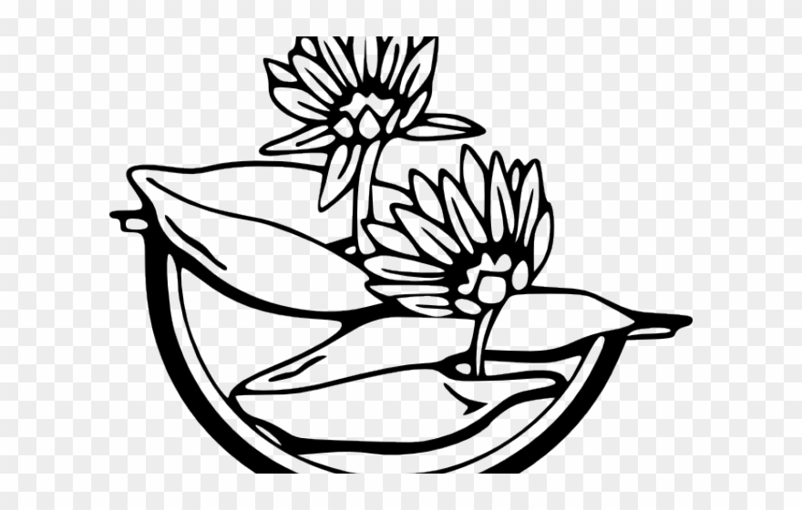 Water Lily Clipart Diagram - Png Download