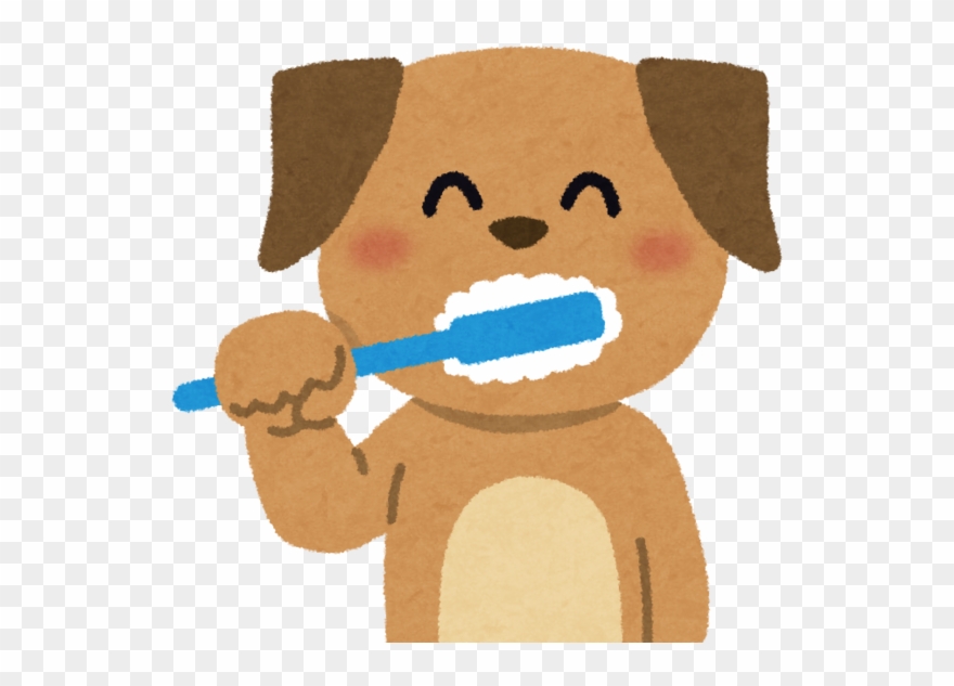 犬の乳歯残存 Clipart