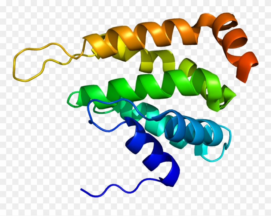 Featured image of post Clipart Golgi Apparatus Cartoon