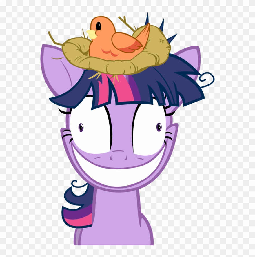 71863 Bird Bird Nest Insane Nest Twilight Sparkle Vector Clipart