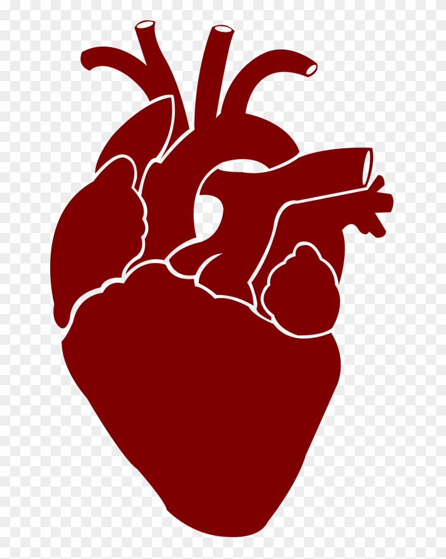 Heart Noun 4451 Cc Red Clipart