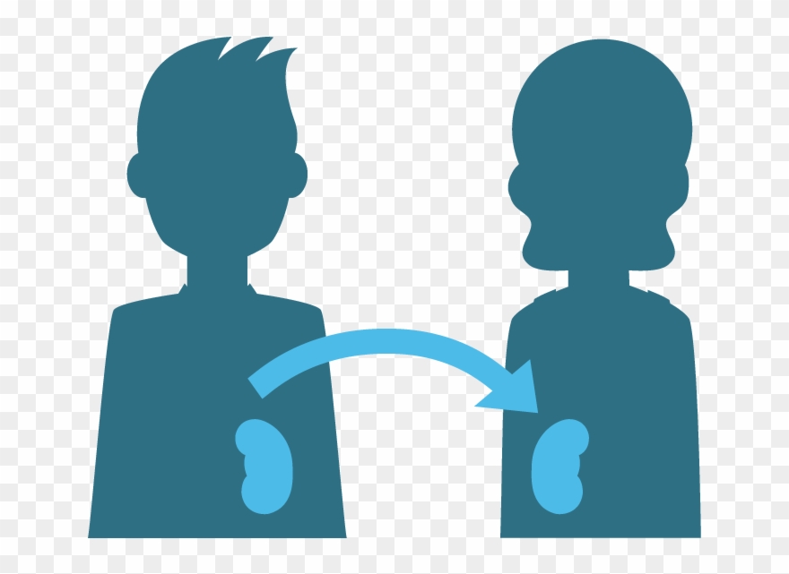 Human Leukocyte Antigen Clipart