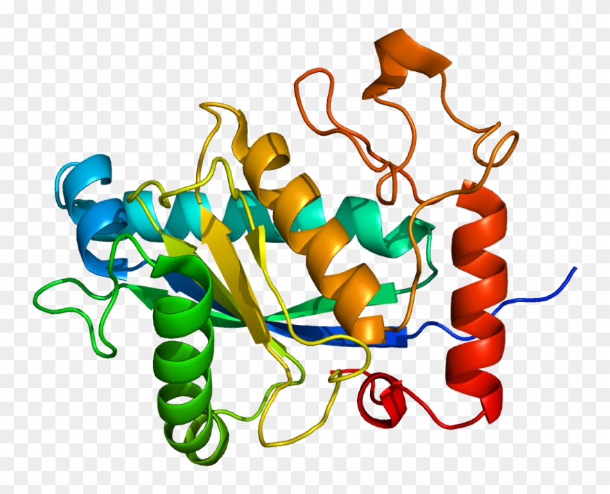 Adam Clip Art - Png Download