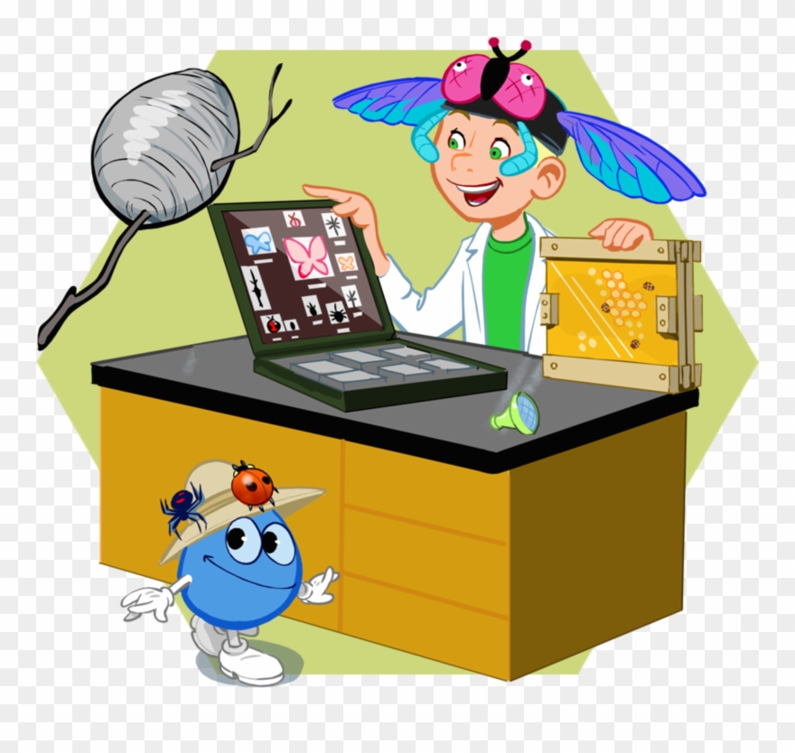 Insects Clipart